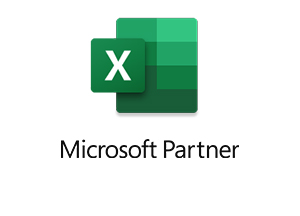 Microsoft Partner Excel Logo